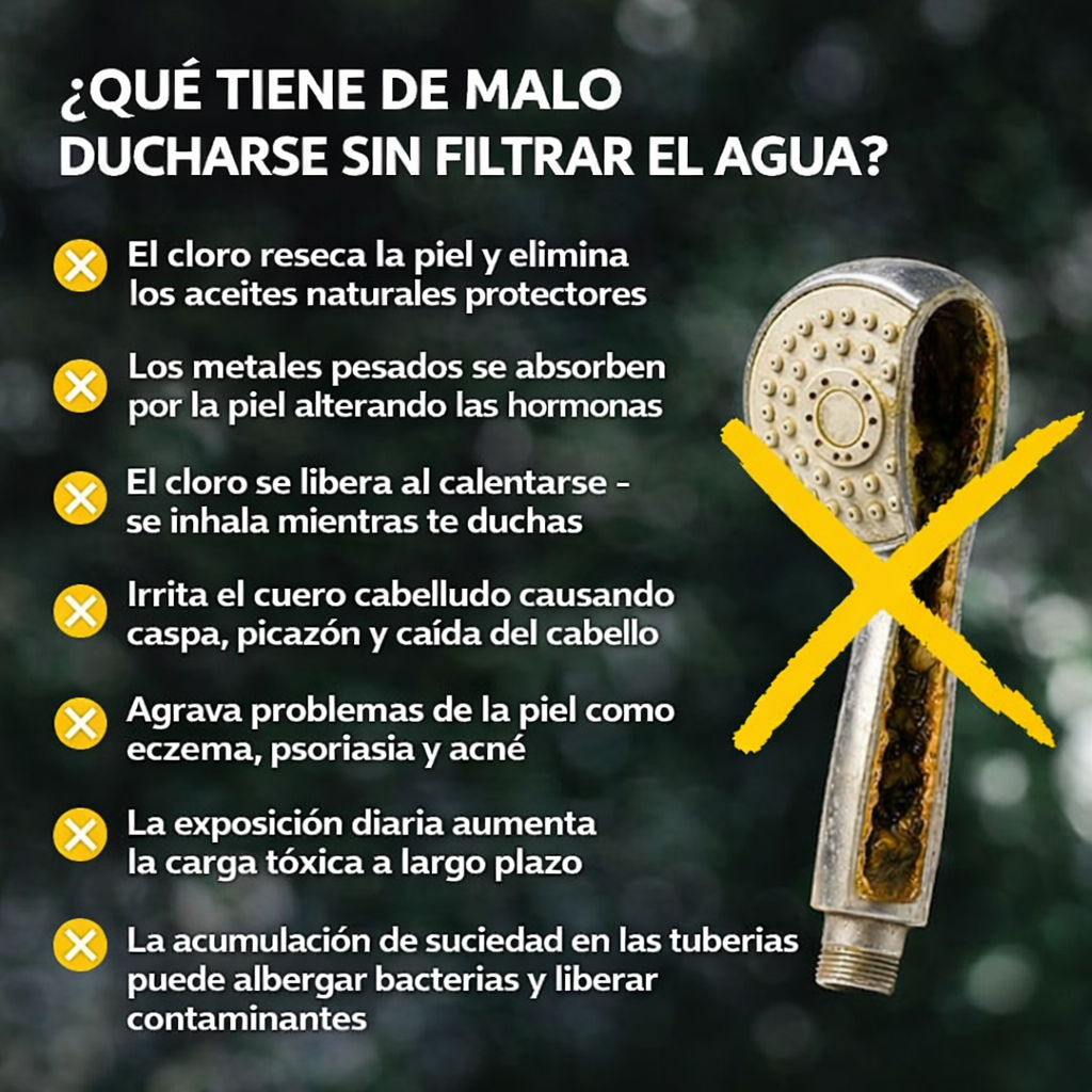 DUCHA DE MANO CON FILTRO